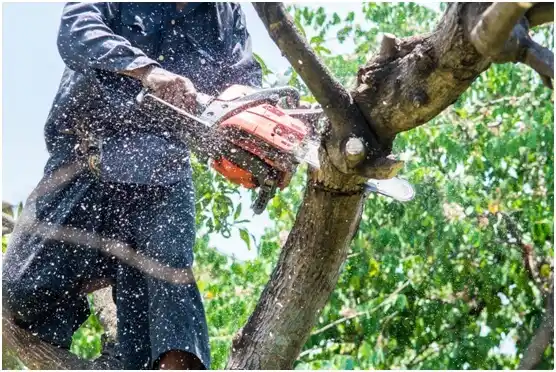 tree services Grantsville